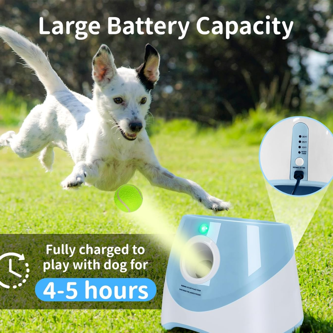 Automatic ball launcher for dogs