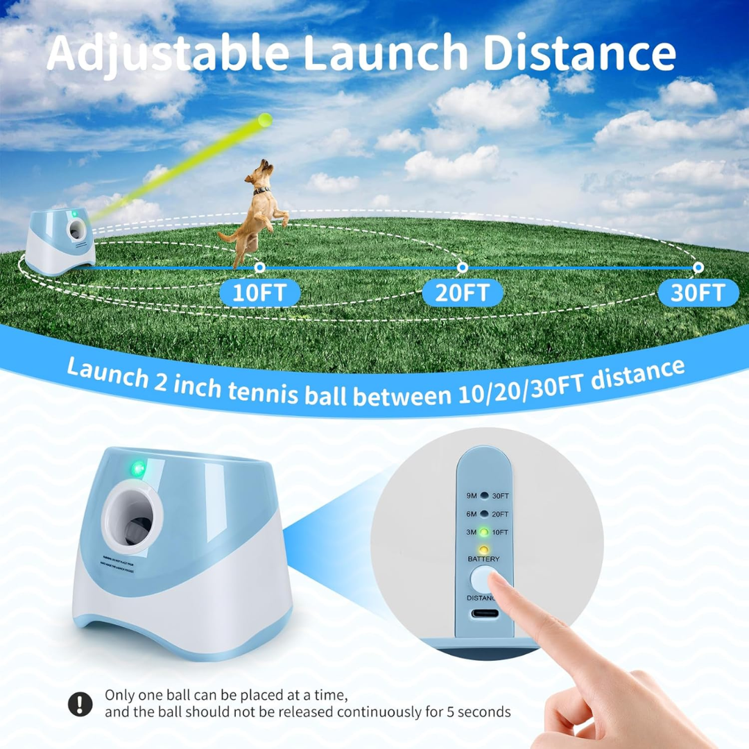 Automatic ball launcher for dogs