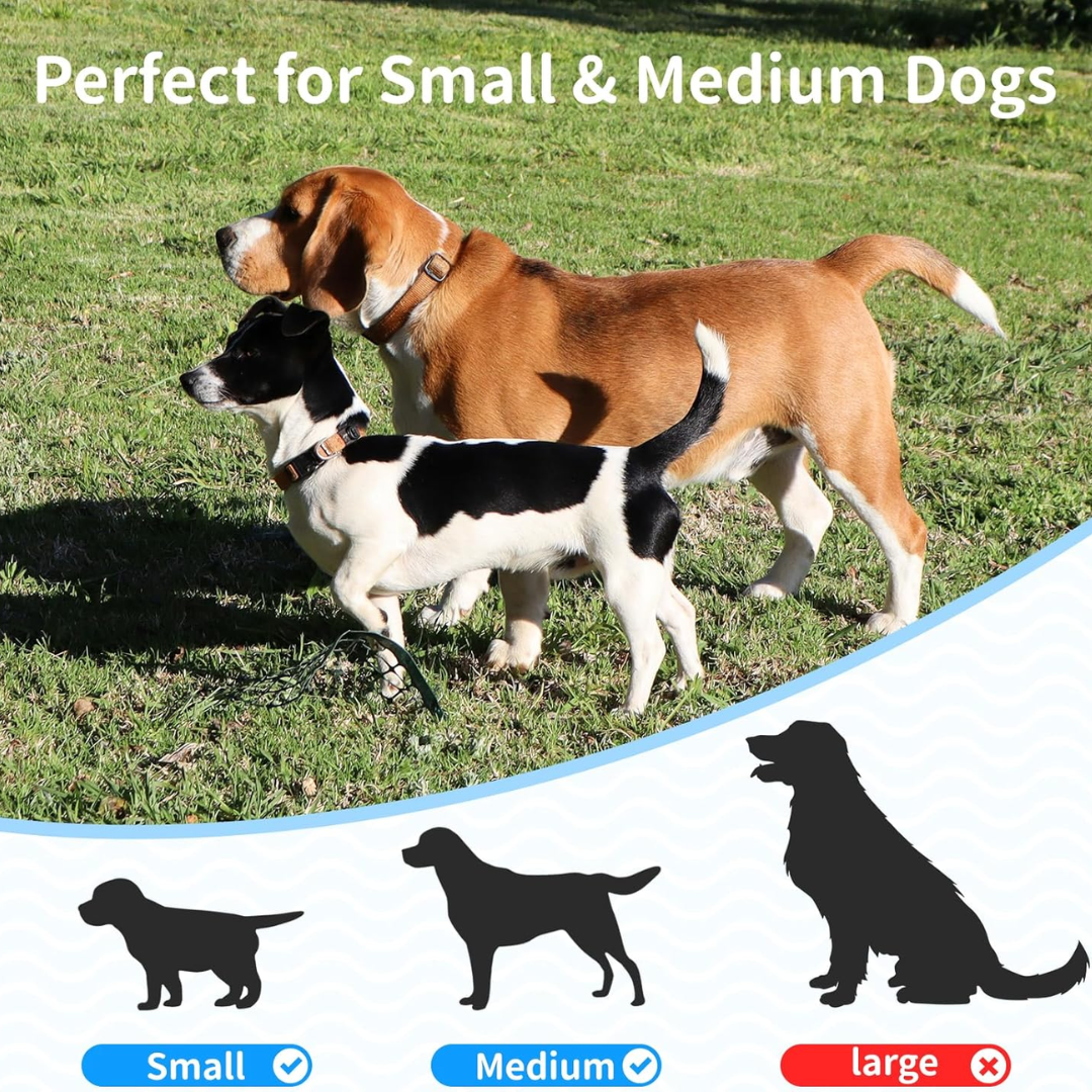 Automatic ball launcher for dogs