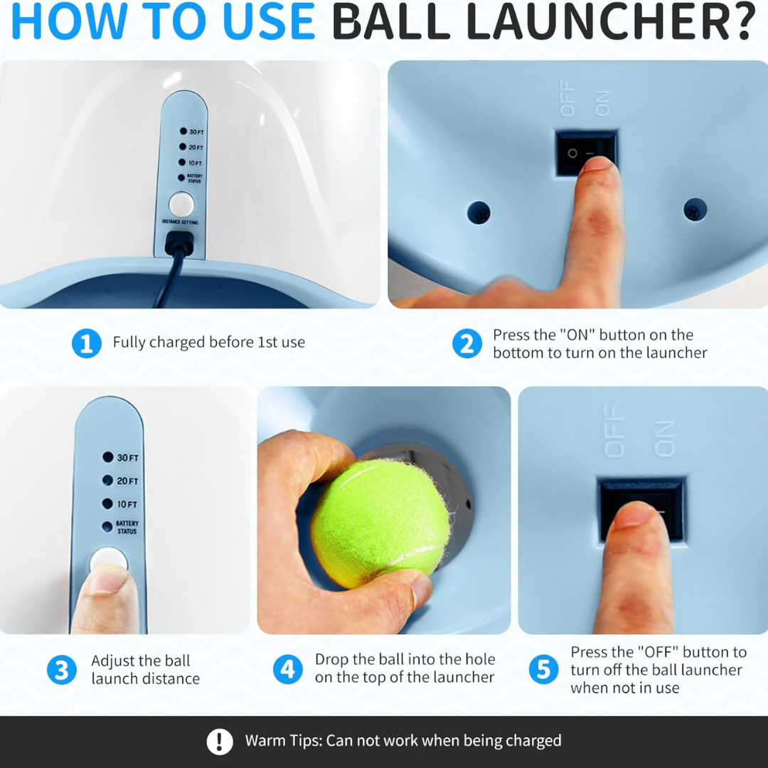 Automatic ball launcher for dogs